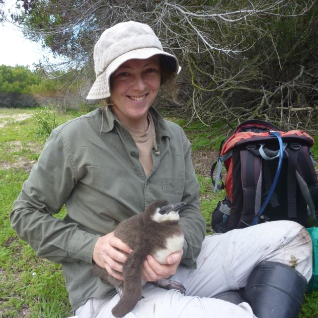 Dr Sally Hofmeyr